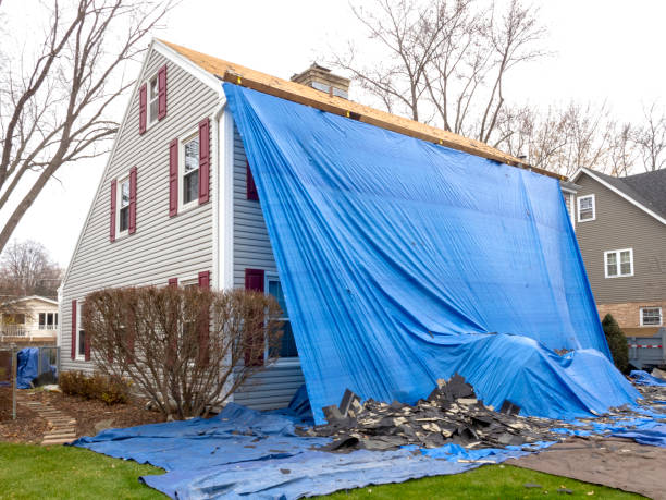 Best Steel Siding Installation  in Pine Knoll Shores, NC