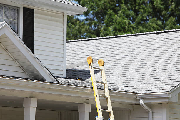 Best Historical Building Siding Restoration  in Pine Knoll Shores, NC